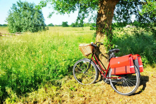 The Importance of Physical Self-Care for Living an Empowered, Mindful Life Course