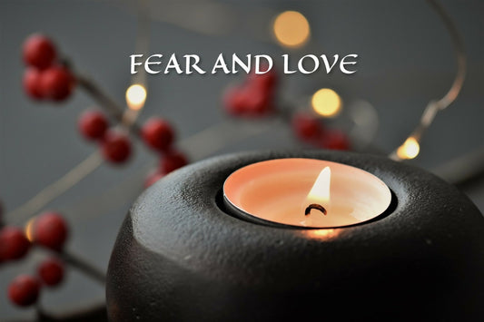 FEAR AND LOVE Course