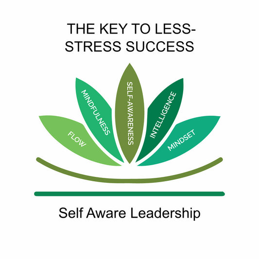 THE KEY TO LESS-STRESS SUCCESS: Self Aware Leadership