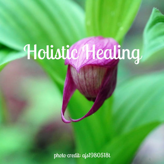 Holistic Healing (14 Essays)